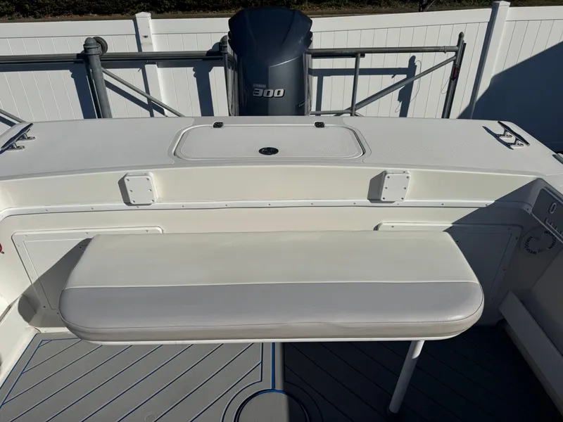 Slide: The Image of Steiger Craft 255DV Chesapeake 2020 - 29