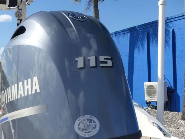 Slide: The Image of Stingray 186 CC 2018 - 10