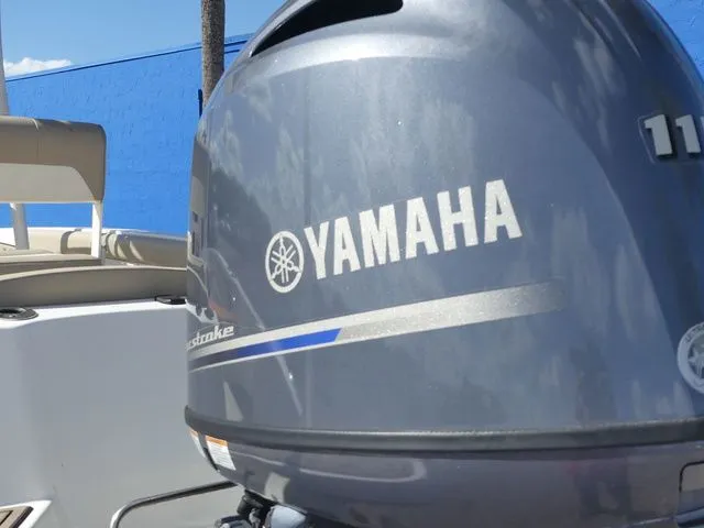 Slide: The Image of Stingray 186 CC 2018 - 11