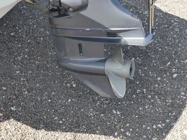 Slide: The Image of Stingray 186 CC 2018 - 12