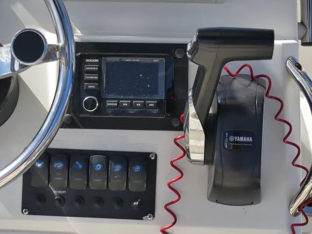 Slide: The Image of Stingray 186 CC 2018 - 18