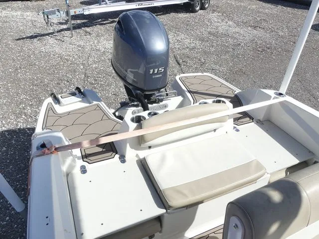 Slide: The Image of Stingray 186 CC 2018 - 20