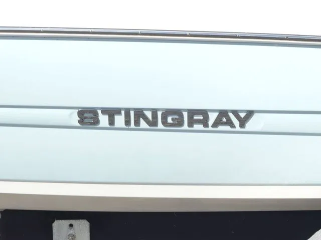 Slide: The Image of Stingray 186 CC 2018 - 8