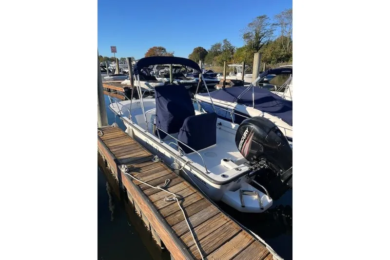 The Image of 2017 Boston Whaler 190 Montauk boat docked, featuring a Mercury outboard motor. - 1