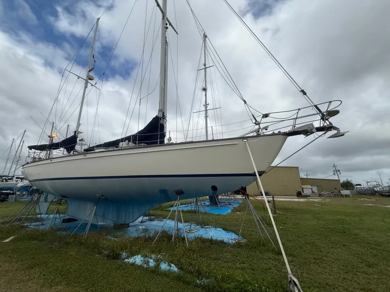 The Image of Shannon 50 1981 - 0