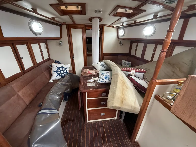 Slide: The Image of Shannon 50 1981 - 11