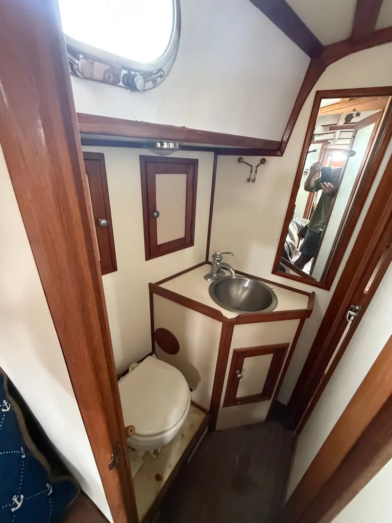 Slide: The Image of Shannon 50 1981 - 12