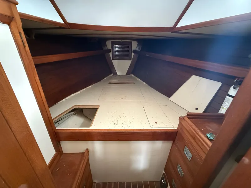 Slide: The Image of Shannon 50 1981 - 13