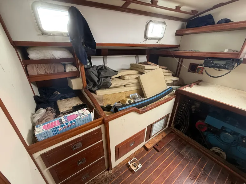 Slide: The Image of Shannon 50 1981 - 15