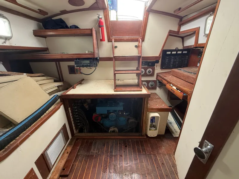 Slide: The Image of Shannon 50 1981 - 16