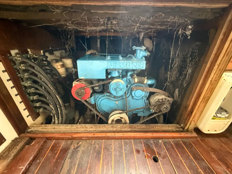 Slide: The Image of Shannon 50 1981 - 17