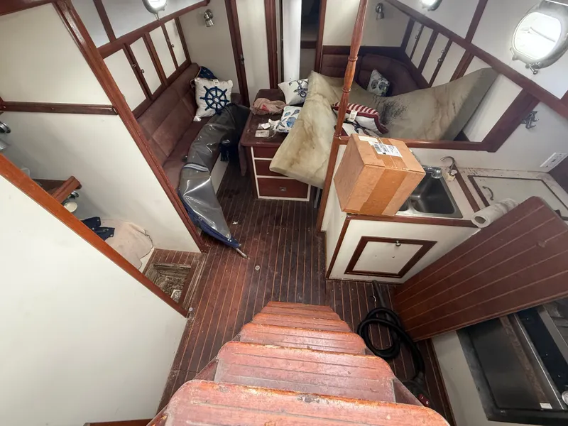 Slide: The Image of Shannon 50 1981 - 19