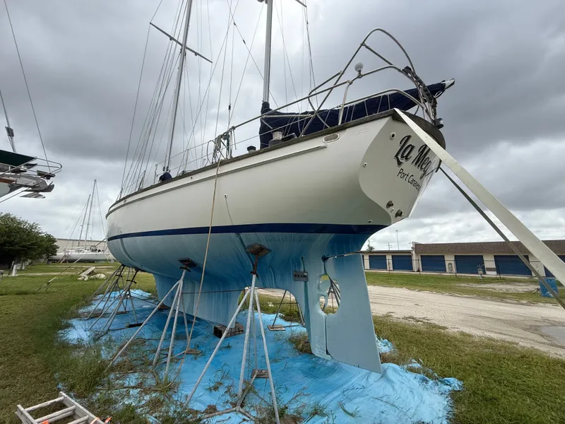 Slide: The Image of Shannon 50 1981 - 3