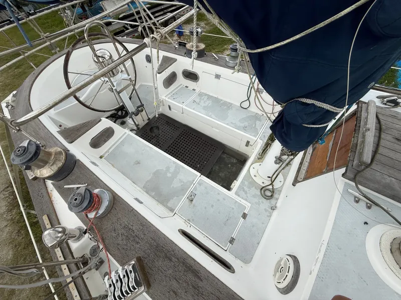 Slide: The Image of Shannon 50 1981 - 4