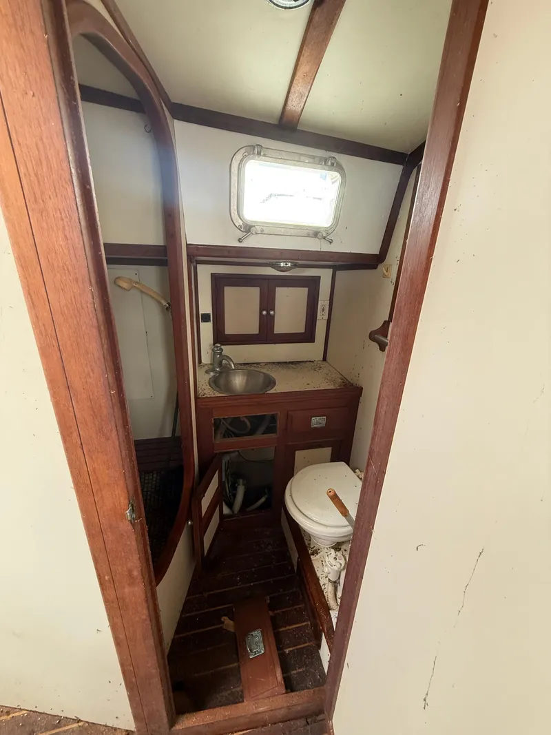 Slide: The Image of Shannon 50 1981 - 6