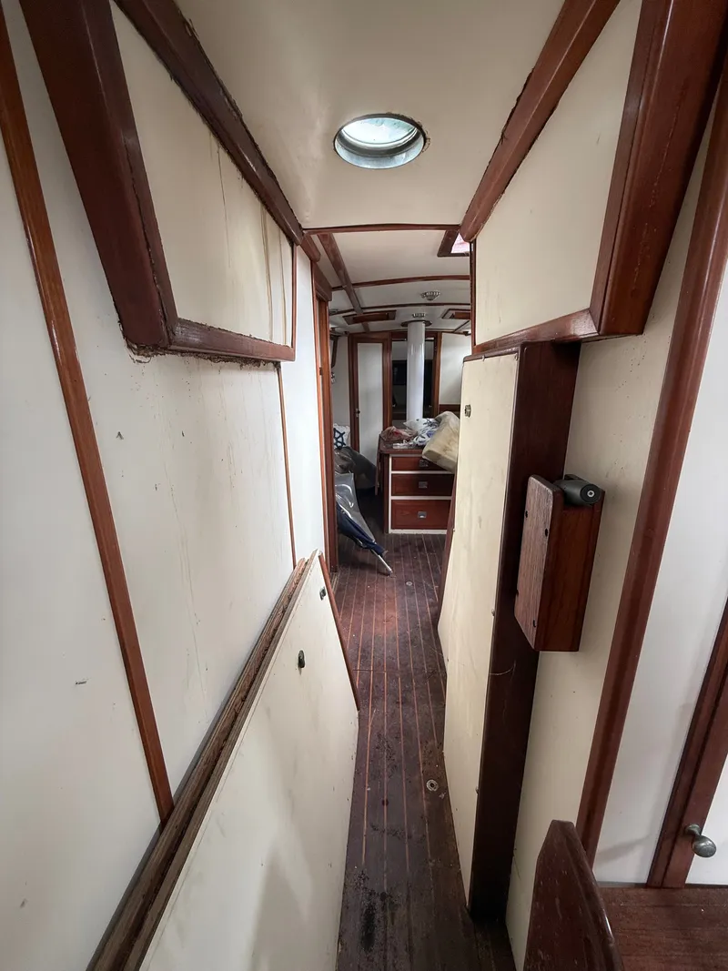 Slide: The Image of Shannon 50 1981 - 8