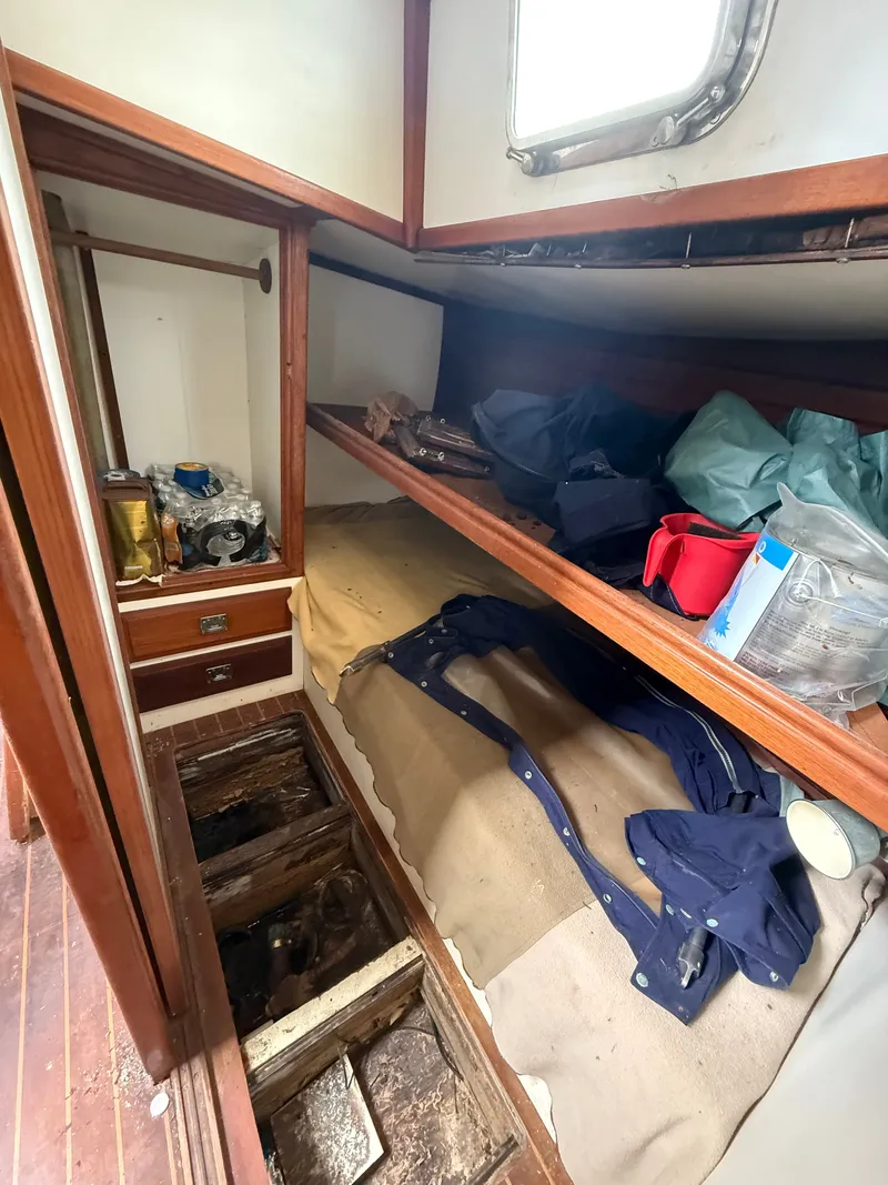 Slide: The Image of Shannon 50 1981 - 9