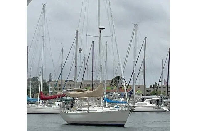 Slide: The Image of Sailboat in marina, 1989 C&C 37/40+ model, overcast sky, surrounded by other boats. - 67