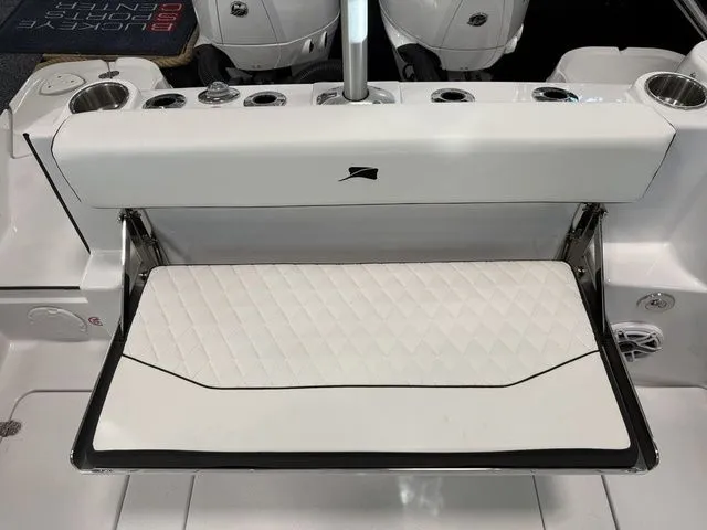 Slide: The Image of Stingray 259 DC 2026 - 10