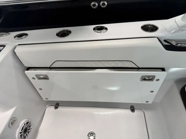 Slide: The Image of Stingray 259 DC 2026 - 11