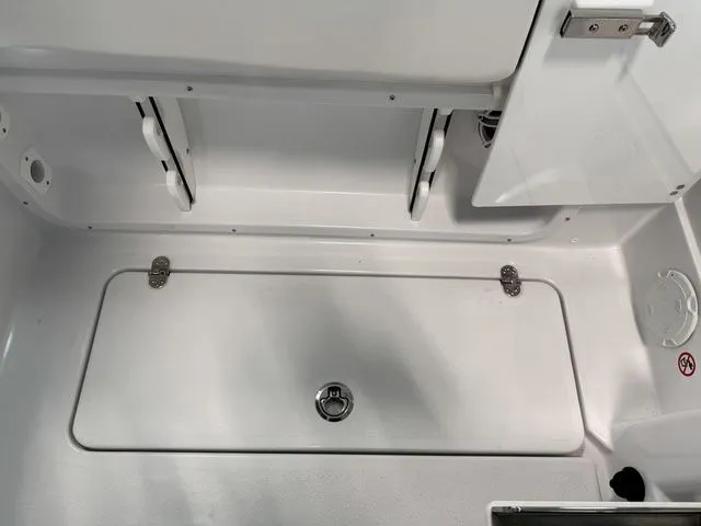 Slide: The Image of Stingray 259 DC 2026 - 13