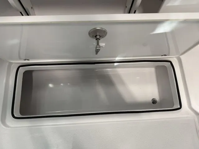 Slide: The Image of Stingray 259 DC 2026 - 14