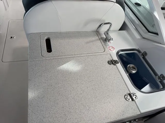 Slide: The Image of Stingray 259 DC 2026 - 17