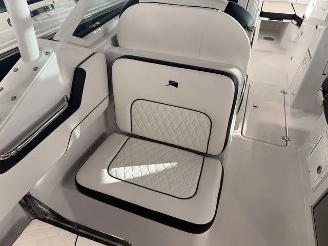 Slide: The Image of Stingray 259 DC 2026 - 21