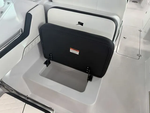 Slide: The Image of Stingray 259 DC 2026 - 22