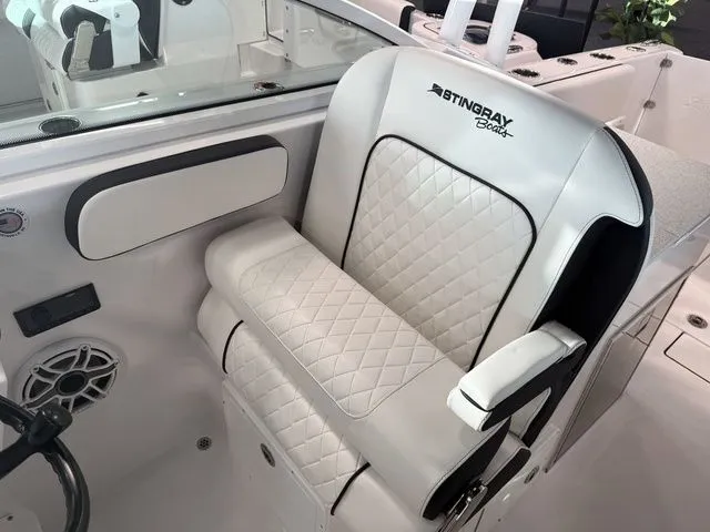 Slide: The Image of Stingray 259 DC 2026 - 32