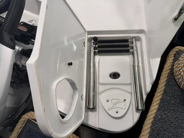 Slide: The Image of Stingray 259 DC 2026 - 5