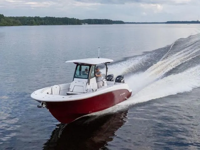 The Image of Stingray 253 CC 2026 - 1