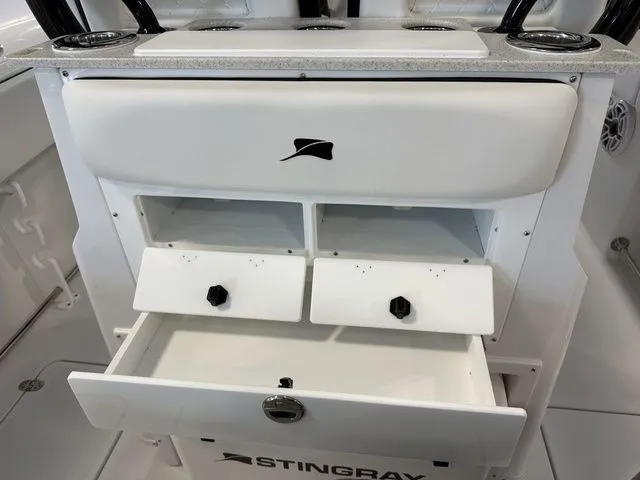 Slide: The Image of Stingray 253 CC 2026 - 11