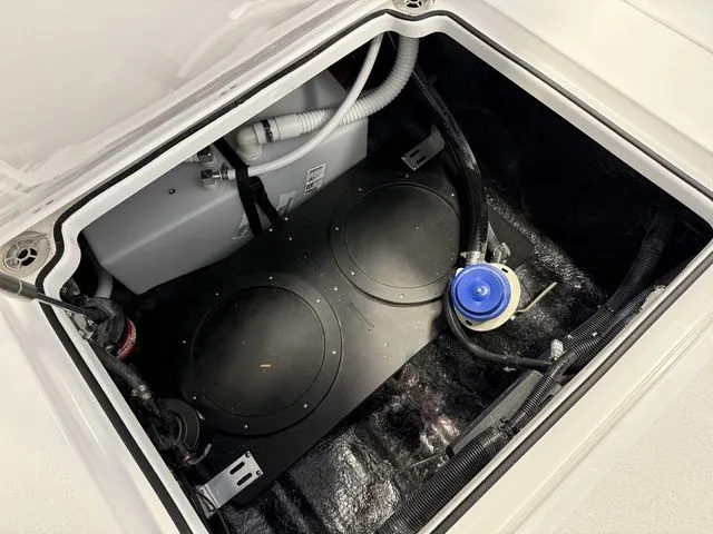 Slide: The Image of Stingray 253 CC 2026 - 12