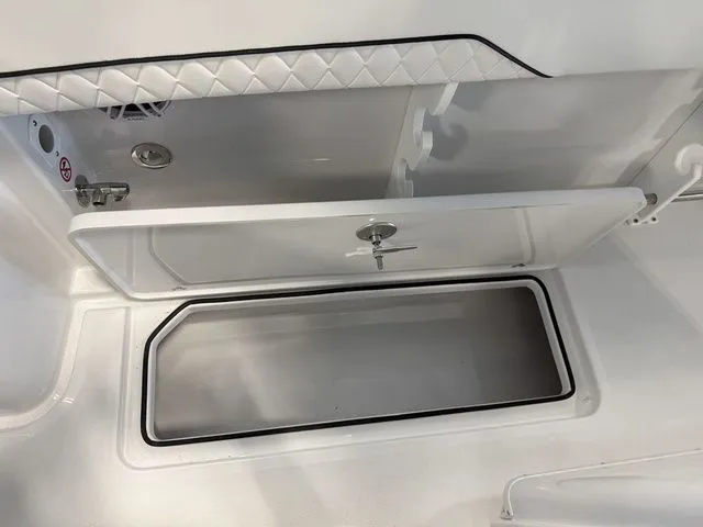 Slide: The Image of Stingray 253 CC 2026 - 14