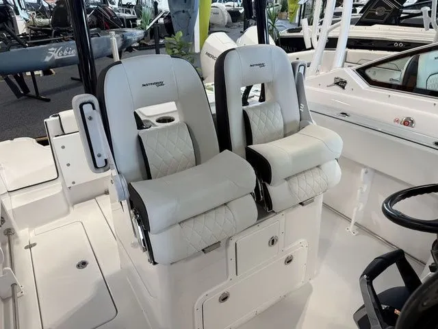 Slide: The Image of Stingray 253 CC 2026 - 21