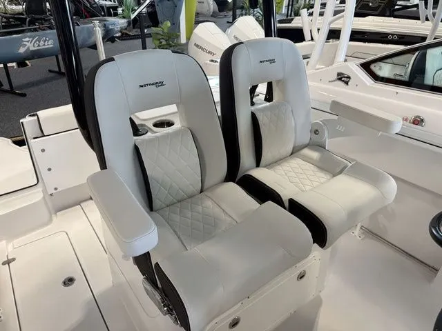 Slide: The Image of Stingray 253 CC 2026 - 22