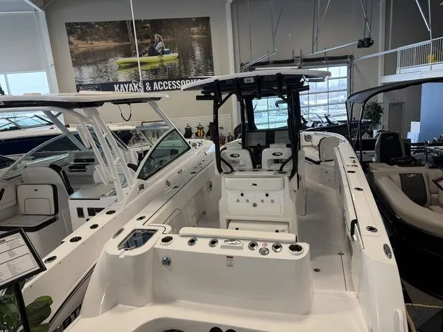 Slide: The Image of Stingray 253 CC 2026 - 3