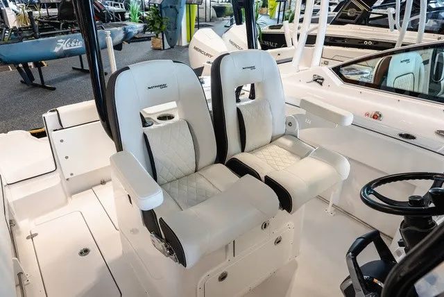 Slide: The Image of Stingray 253 CC 2026 - 15