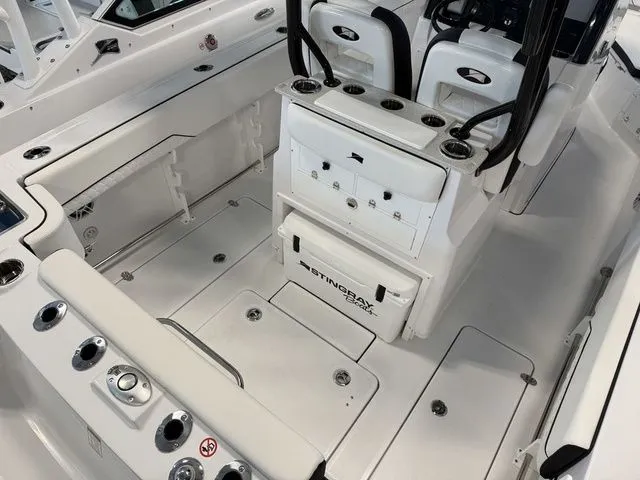 Slide: The Image of Stingray 253 CC 2026 - 4