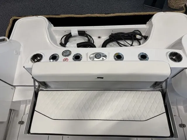 Slide: The Image of Stingray 253 CC 2026 - 7