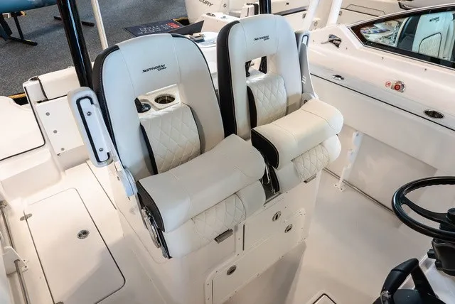 Slide: The Image of Stingray 253 CC 2026 - 14