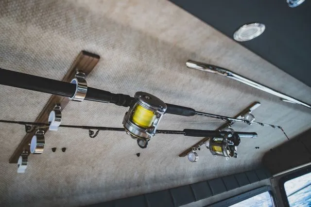 Slide: The Image of Kingfisher XRS 3025 2026 - 17