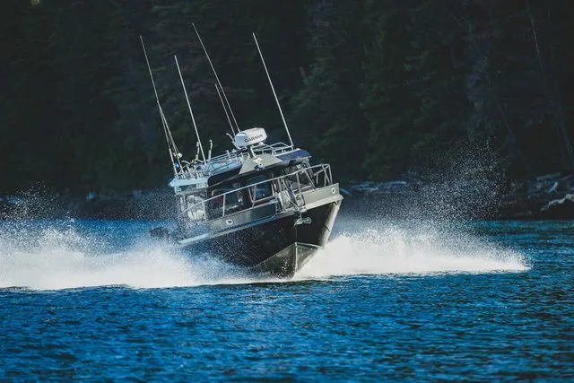 Slide: The Image of Kingfisher XRS 3025 2026 - 2