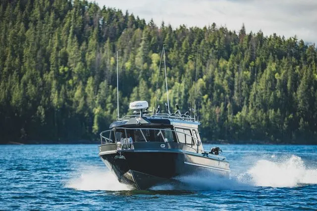 Slide: The Image of Kingfisher XRS 3025 2026 - 3