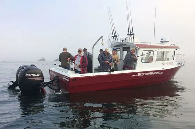 Slide: The Image of Kingfisher COASTAL EXPRESS 2825 2026 - 3