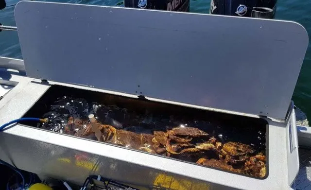 Slide: The Image of Kingfisher COASTAL EXPRESS 2825 2026 - 6