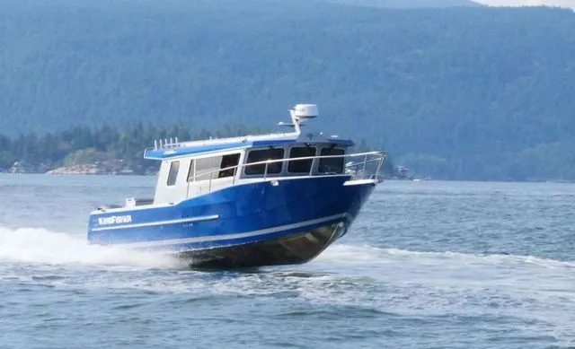 The Image of Kingfisher GFX 3225 2026 - 1