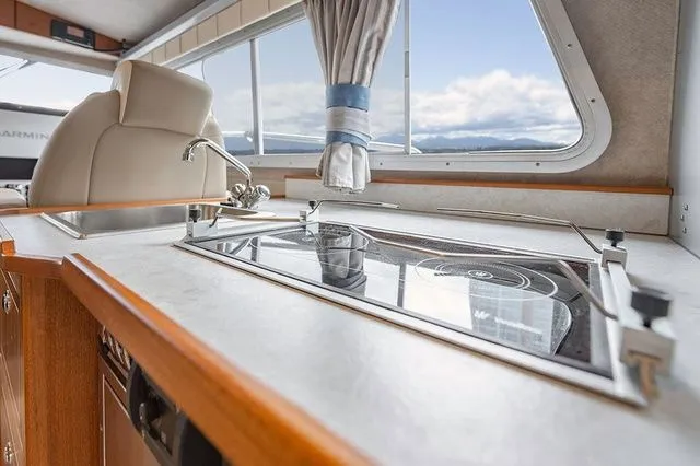 Slide: The Image of Kingfisher GFX 3225 2026 - 13