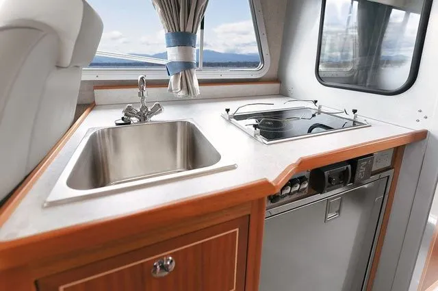 Slide: The Image of Kingfisher GFX 3225 2026 - 17